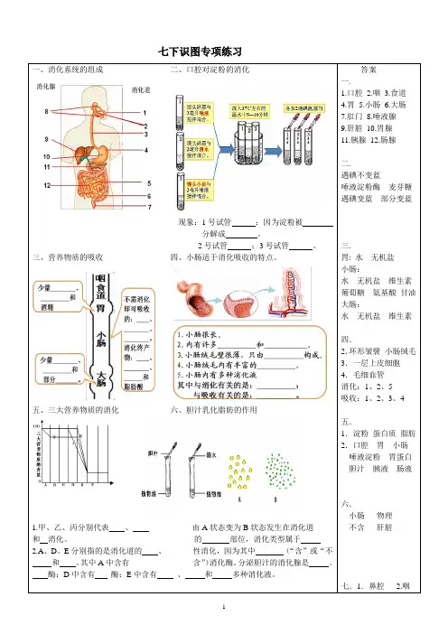 生物七下识图练习(带答案)