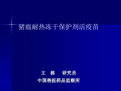 猪瘟耐热冻干保护剂活疫苗
