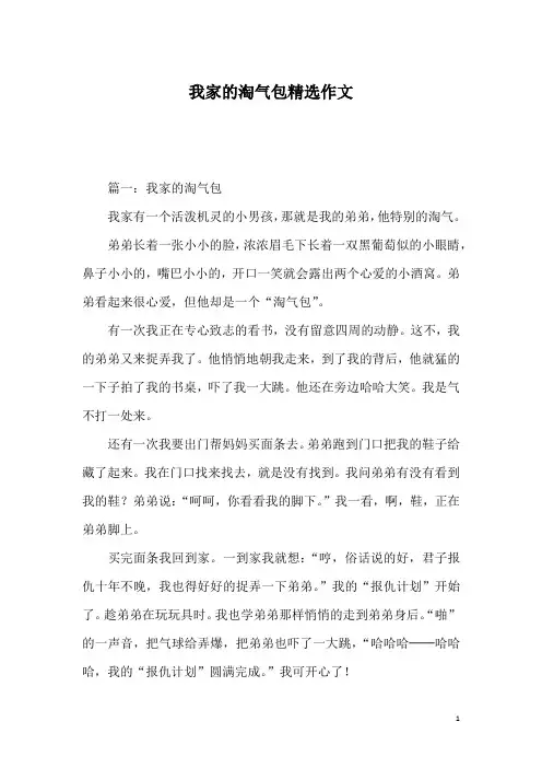 我家的淘气包精选作文