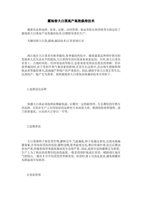露地春大白菜高产高效栽培技术
