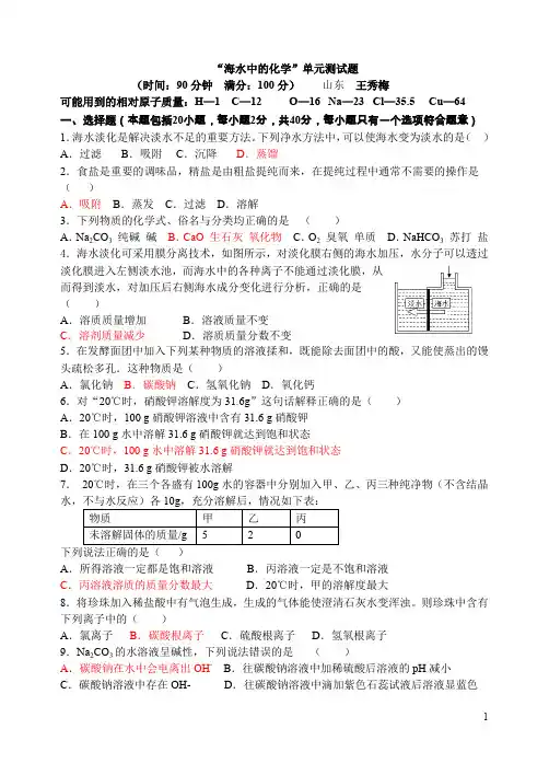 鲁教版九年级化学：第九单元测试题(含答案)