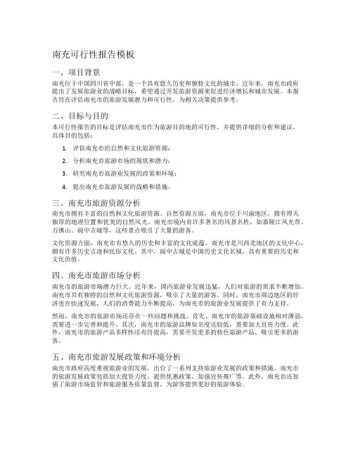 南充可行性报告模板