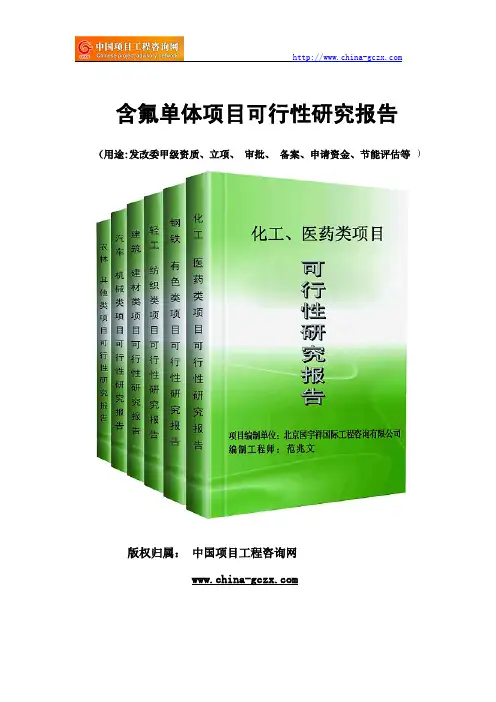 含氟单体项目可行性研究报告(专业经典案例)
