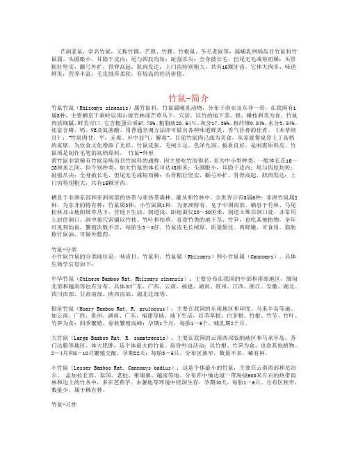 竹鼠-简介