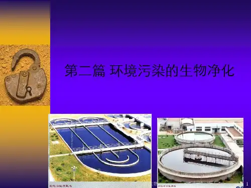 环境污染生物净化