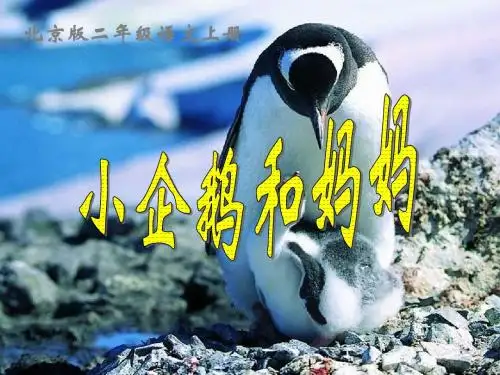 二年级语文小企鹅和妈妈