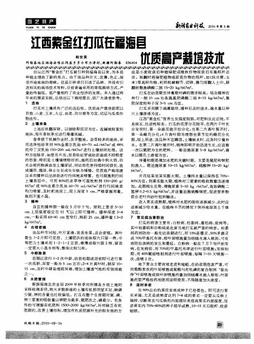 江西紫金红打瓜在福海县优质高产栽培技术