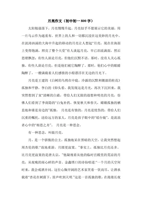 月亮作文(初中初一800字).doc