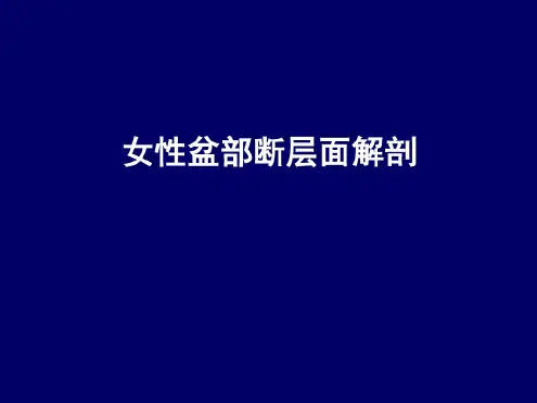 人体断层解剖学-女性盆部断层面解剖