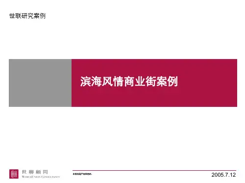 _蛇口风情商业街案例商业街