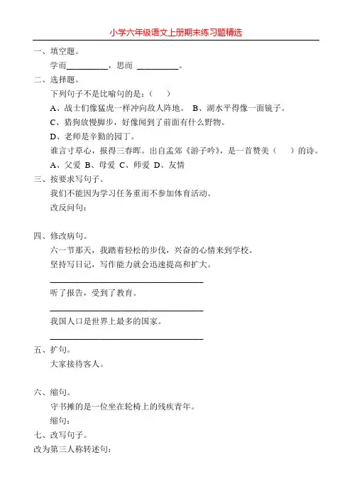小学六年级语文上册期末练习题精选19
