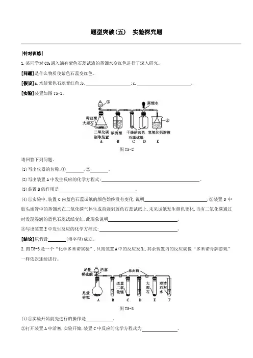 中考化学复习题型突破05实验探究题试题(沪教版附答案)含答案
