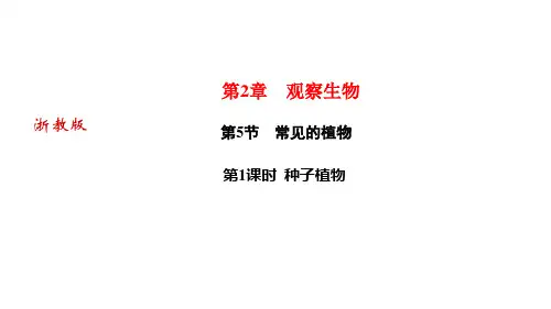 第2章第5节第1课时种子植物—七年级科学上册作业课件