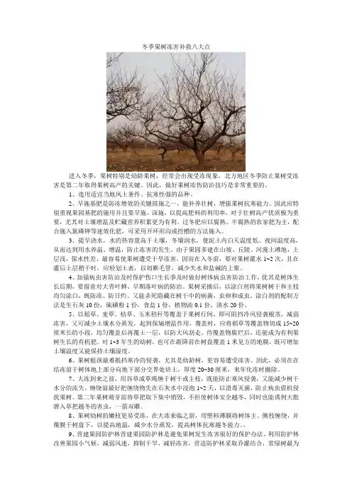冬季果树冻害防治