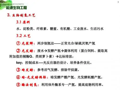 4.生物制氢2