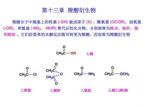 13-羧酸衍生物