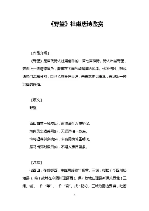 《野望》杜甫唐诗鉴赏