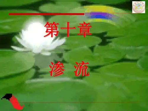 第十章 流体力学 渗流