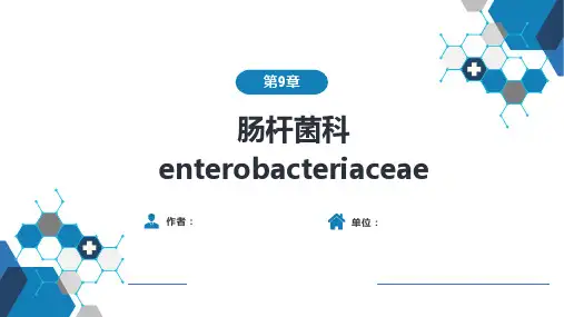医学微生物学-第一篇 细菌学 第九章  肠杆菌科
