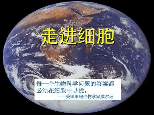 1.1从生物圈到细胞