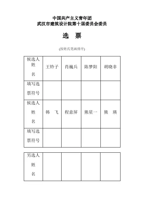 选举选票格式