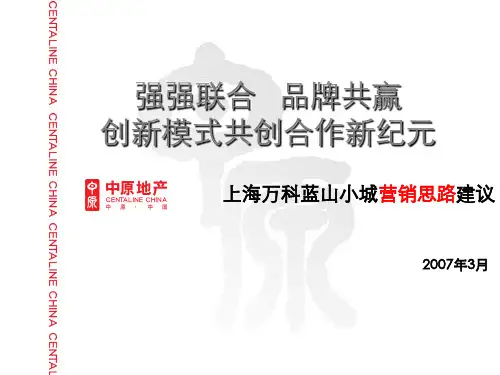 中原2007年上海万科蓝山小城营销思路建议