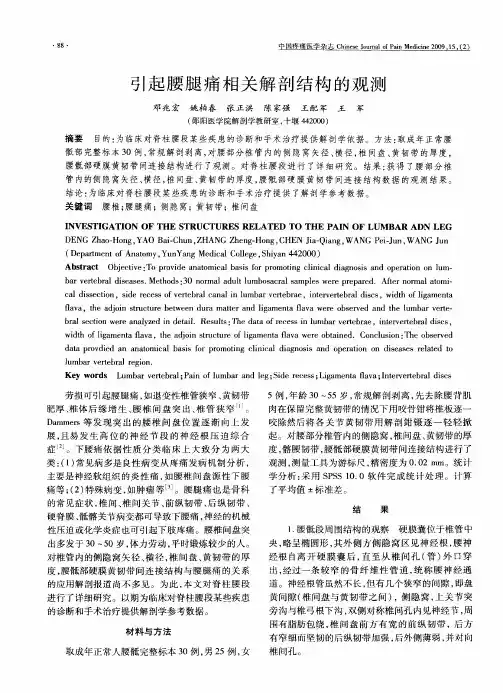引起腰腿痛相关解剖结构的观测