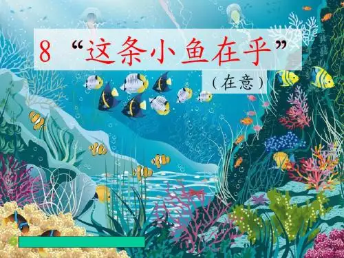 这条小鱼在乎