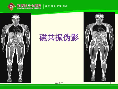 磁共振伪影  ppt课件