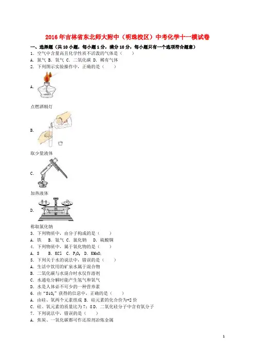 吉林省东北师大附中(明珠校区)中考化学十一模试卷(含解析)