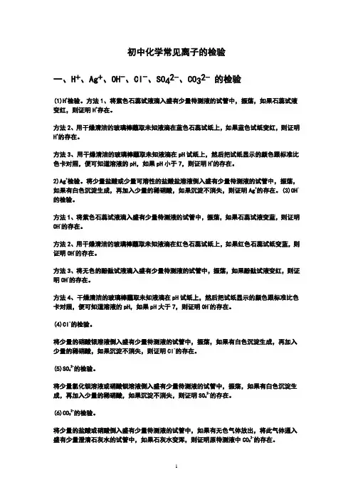 初中化学常见离子的检验