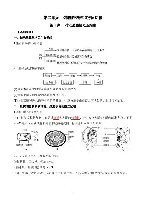 第4讲 借助显微镜走进细胞-2021年高考生物一轮复习名师精讲练(新高考地区专用)