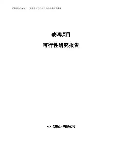 玻璃项目可行性研究报告模板可编辑