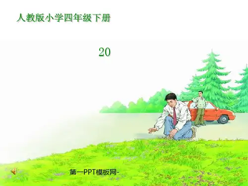 人教版部编版四年级下册语文《花的勇气》精品PPT教学课件