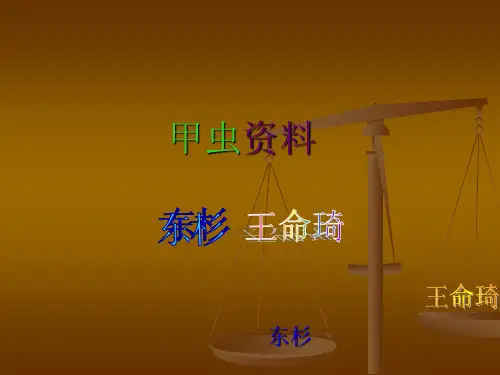 甲虫资料