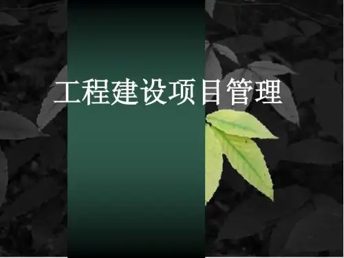 工程建设项目管理