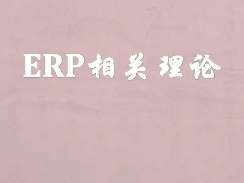 ERP相关理论