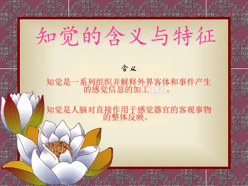 知觉的含义与特征