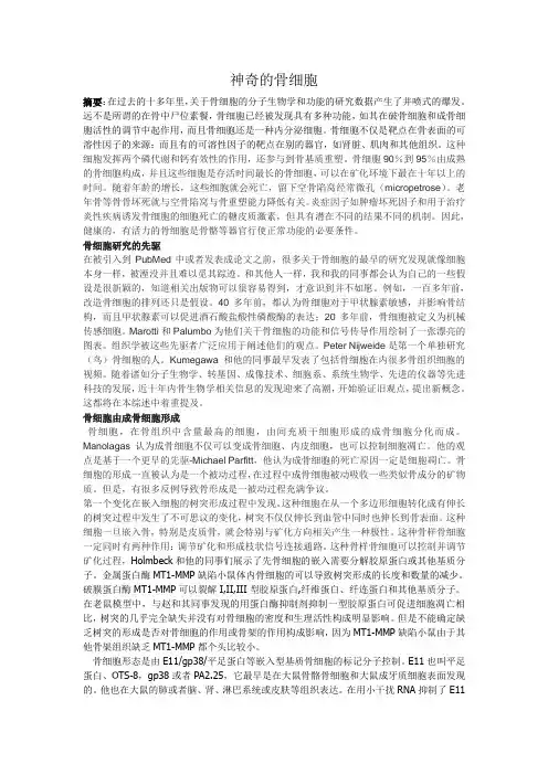 神奇的骨细胞