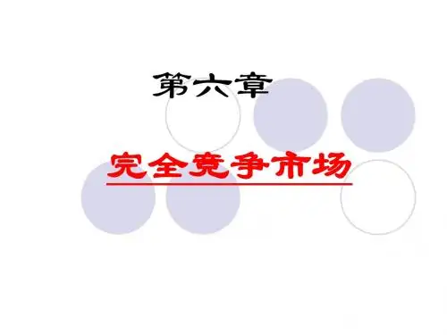 第6章 完全竞争市场