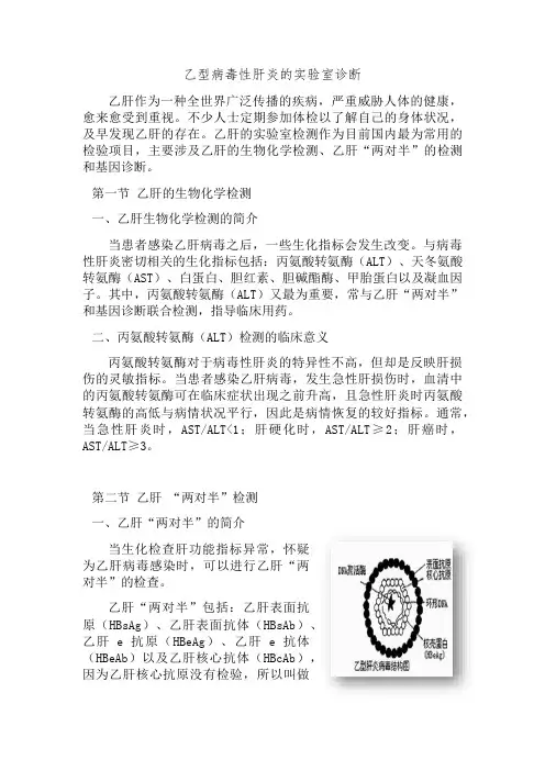 乙型病毒性肝炎的实验室诊断