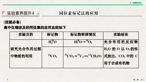 实验素养提升4 同位素标记法的应用