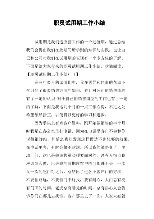 职员试用期工作小结