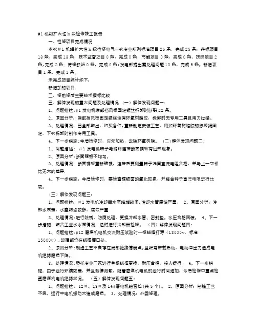 机组检修验收报告【范本模板】