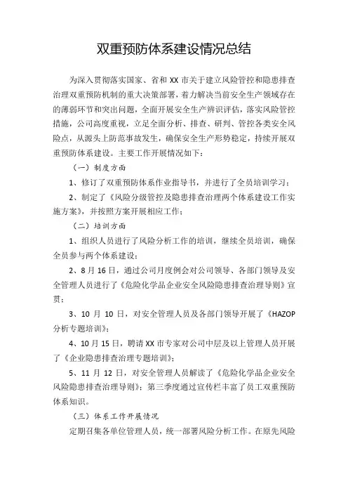 双重预防体系建设总结