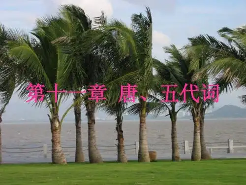 第十一章 唐、五代词