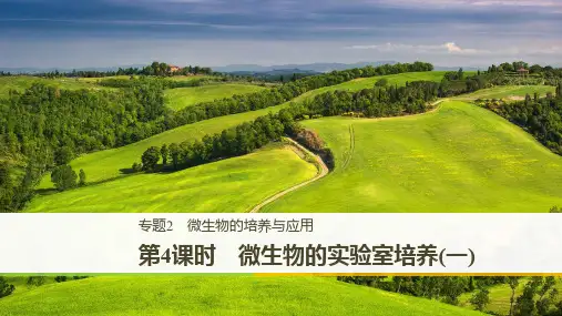 2019_2020学年高二人教版生物选修一课件:2.1 微生物的实验室培养(一)