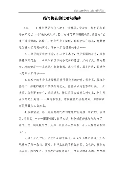 描写梅花的比喻句摘抄