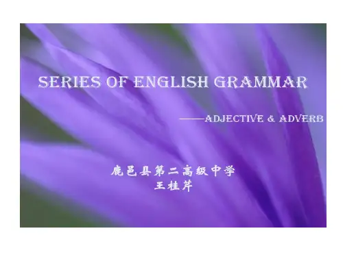 高中英语语法形容词与副词67页PPT