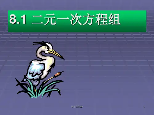 数学七年级下人教新课标8[1].1二元一次方程组